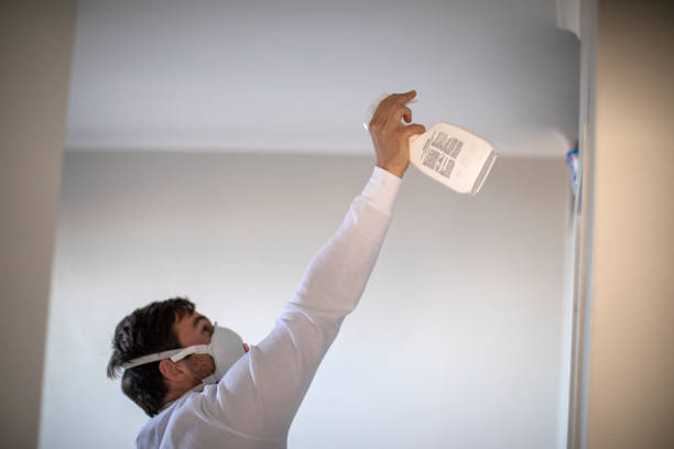 Best Same-Day Mold Removal  in Rowland, NC