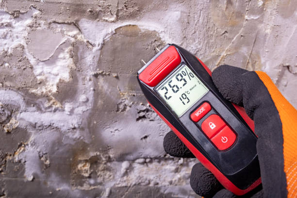 Best Commercial Mold Removal  in Rowland, NC