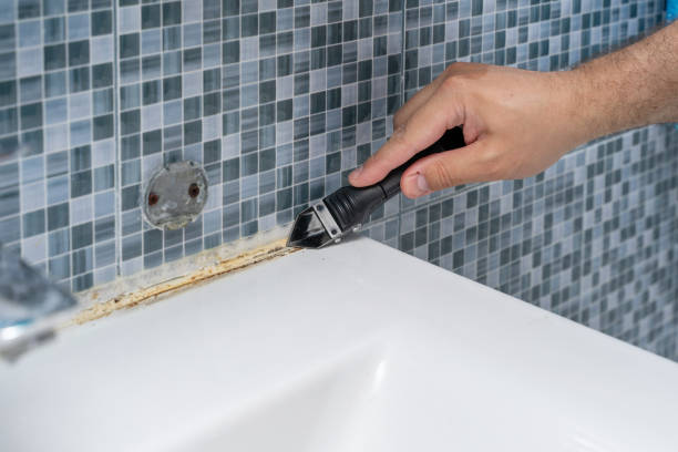 Best Mold Damage Repair  in Rowland, NC