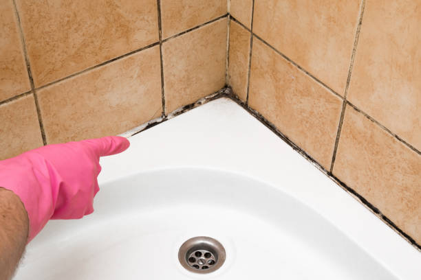 Best Professional Mold Removal  in Rowland, NC